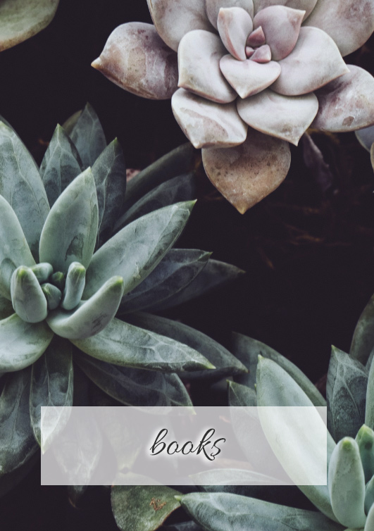 books-banner-1a