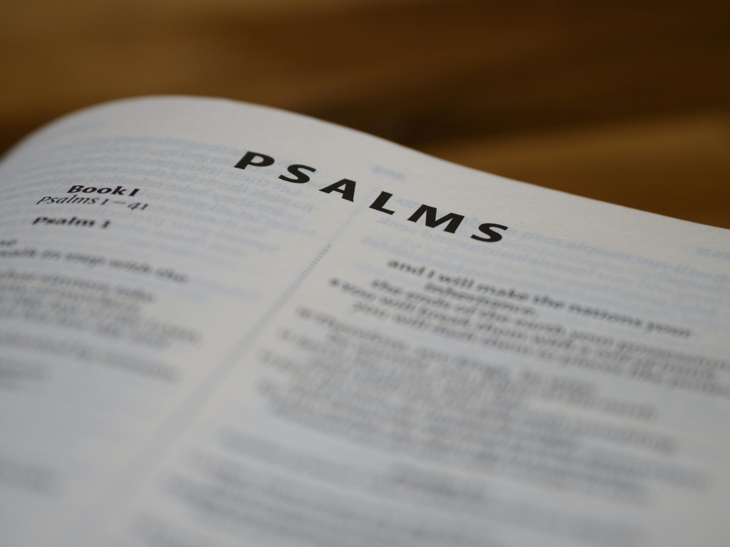 King David - A Vivid Life Christian Blog | Suria Scholtz